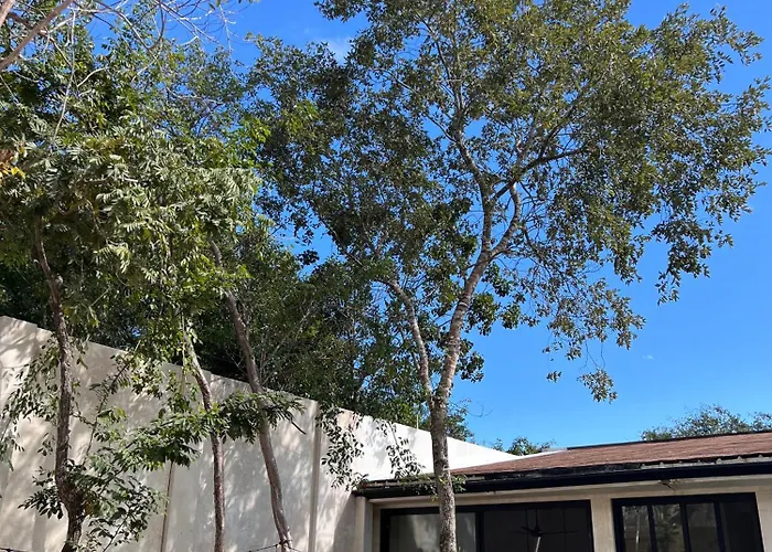 Villa Sotik House